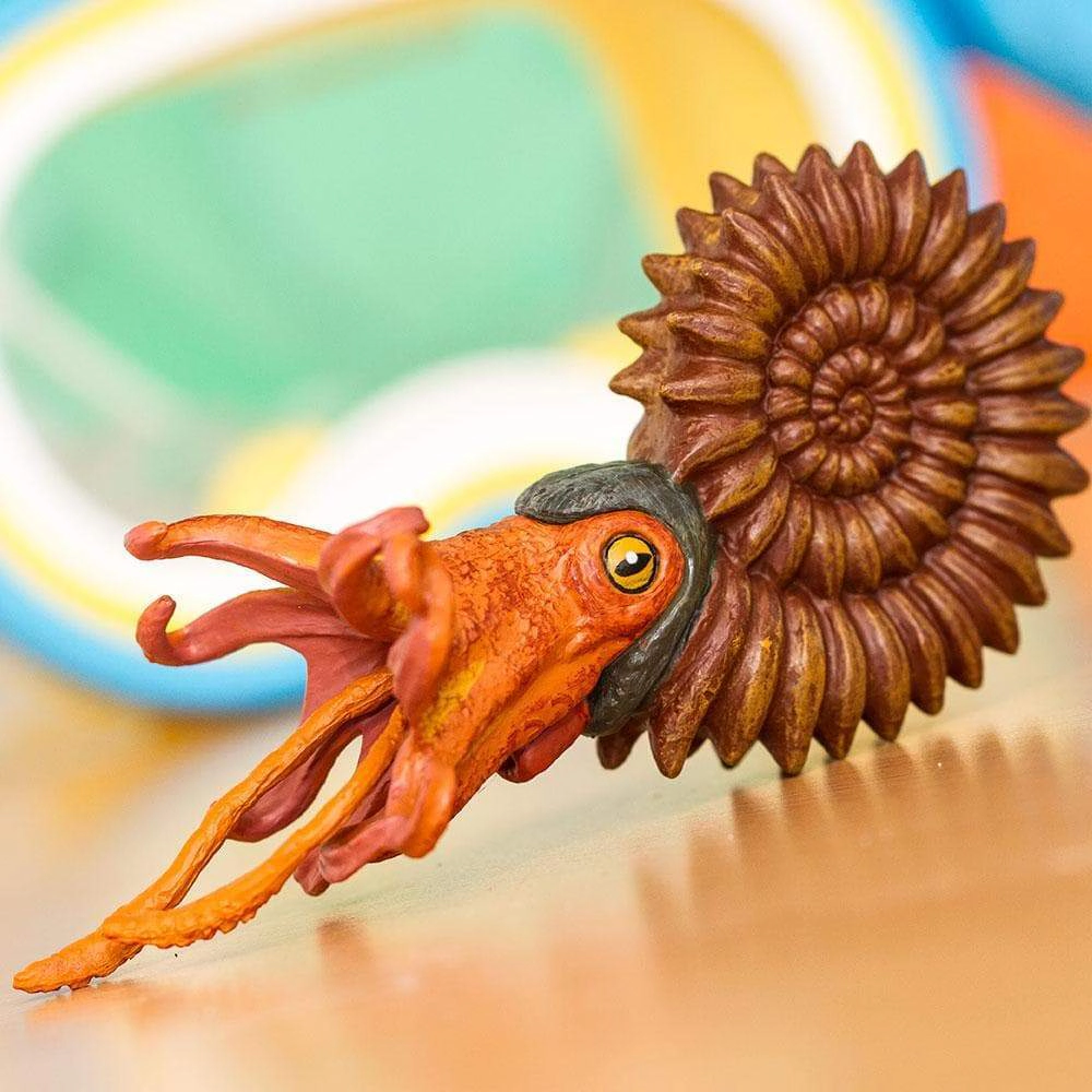 Safari Ltd. - Ammonite Kids Prehistoric/Dinosaur Toy Figure