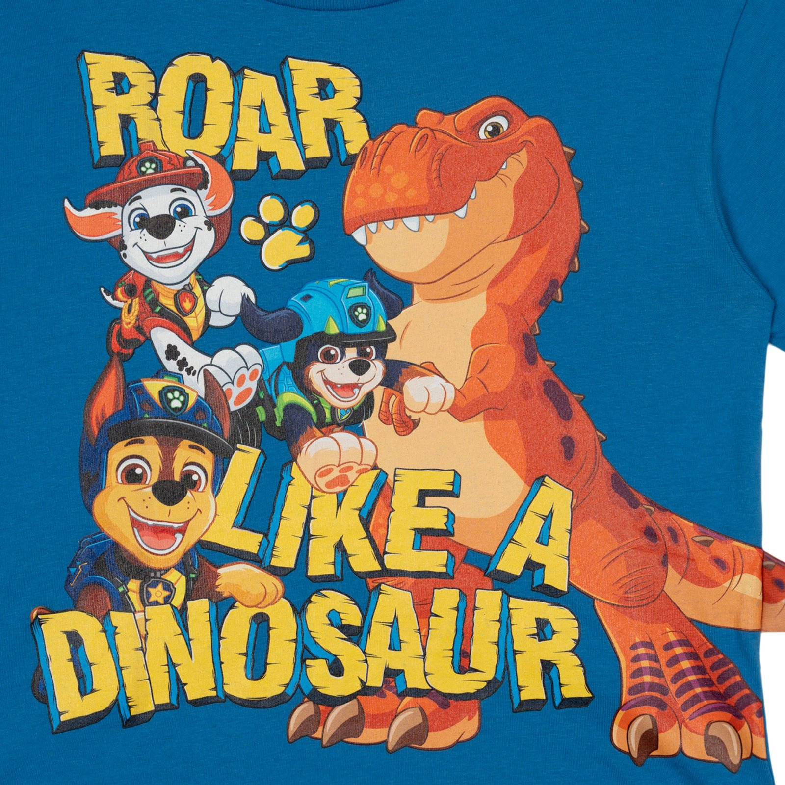 Paw Patrol Boys' T-Shirt