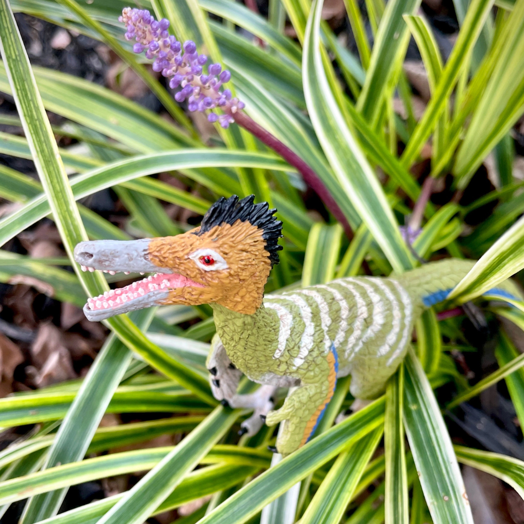 Safari Ltd. - Austroraptor Kids Prehistoric/Dinosaur Toy Figure