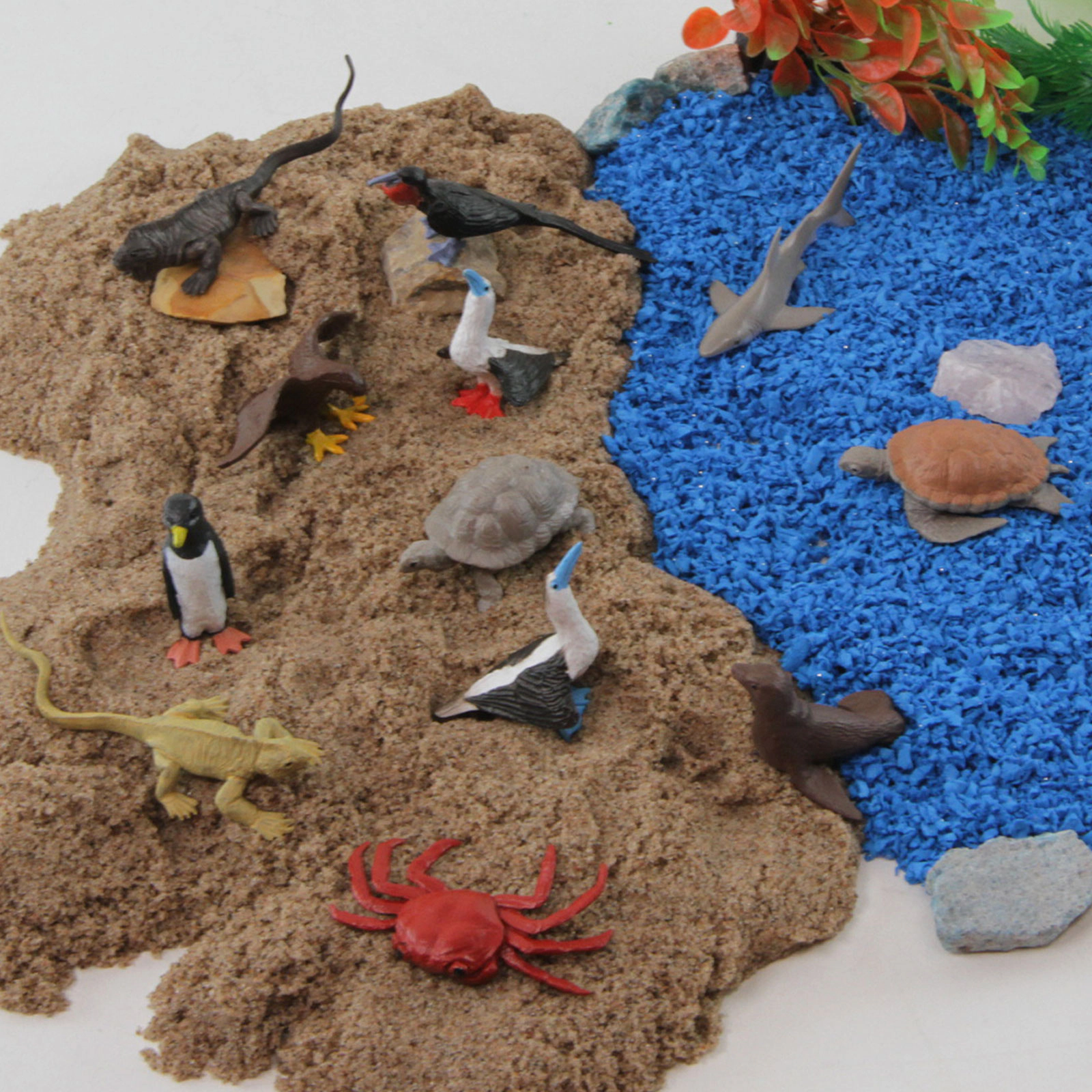 Safari Ltd. - Galapagos Animals TOOB - contains 12 Mini Figurines