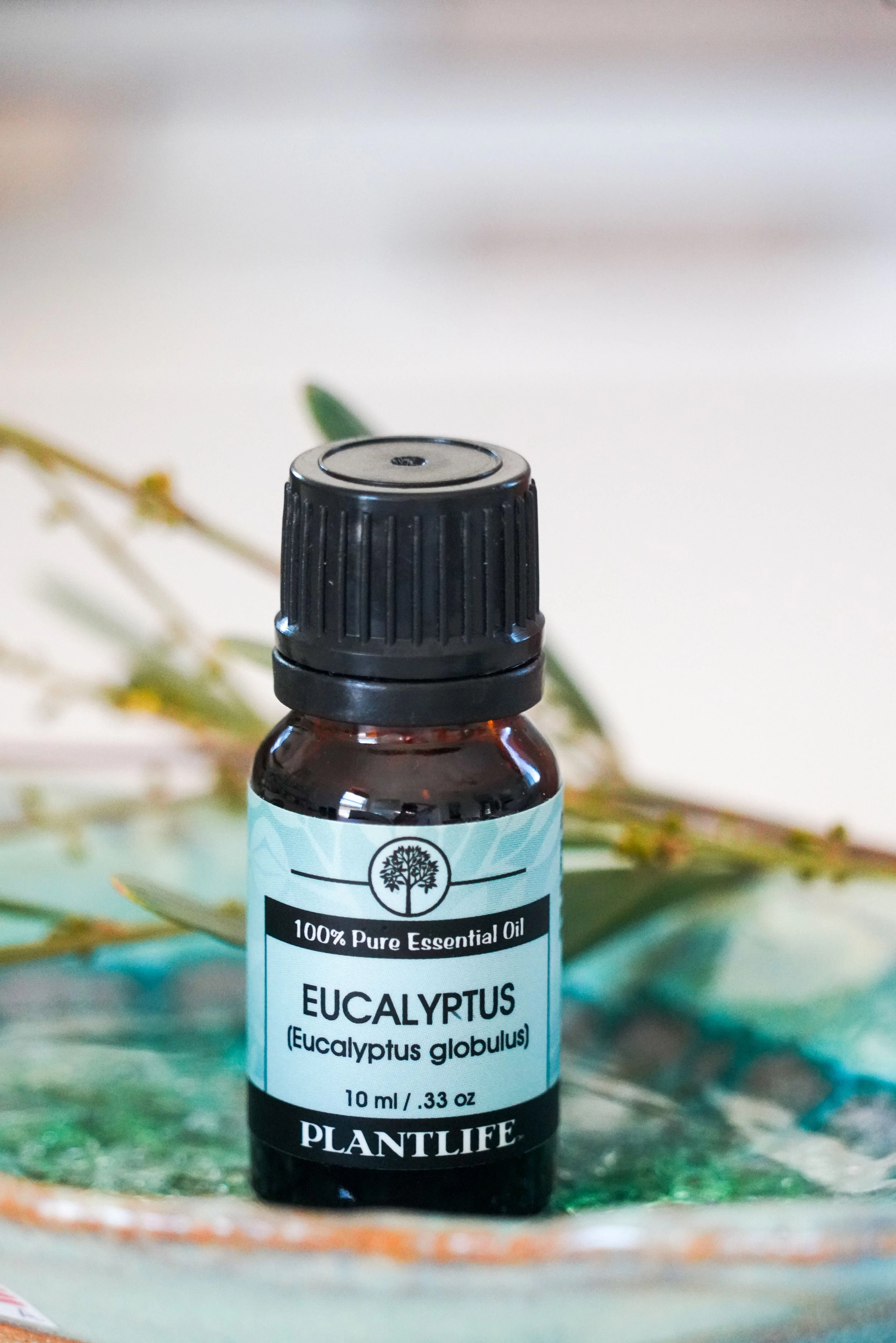 Plantlife Top Single Notes Essential Oil Set 3-Pack – Eucalyptus, Lavender & Tea Tree
