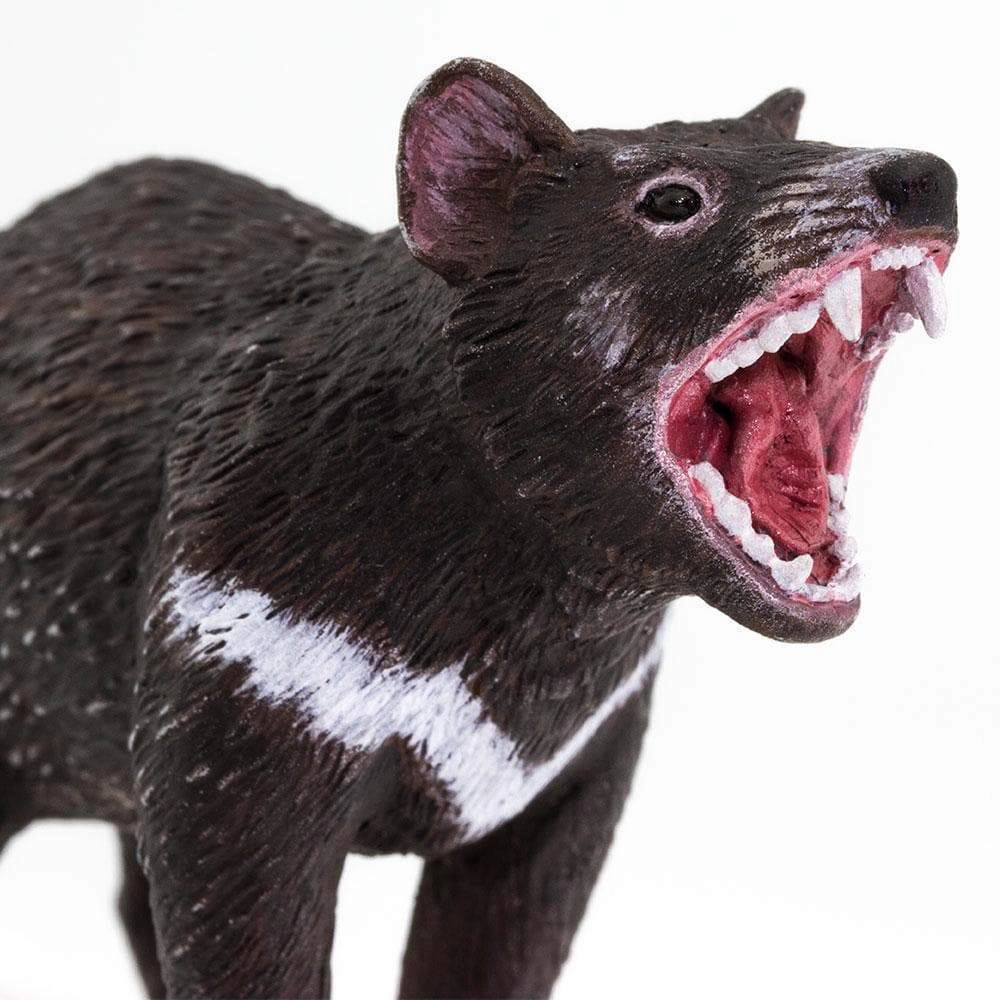 Safari Ltd. - Tasmanian Devil Kids Toy Figure
