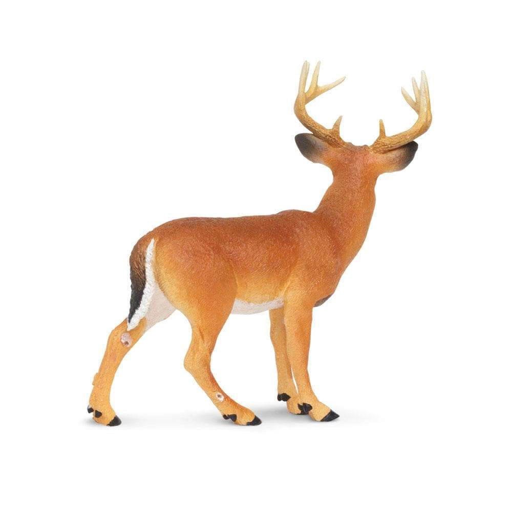 Safari Ltd. - Whitetail Buck Kids Toy Figure