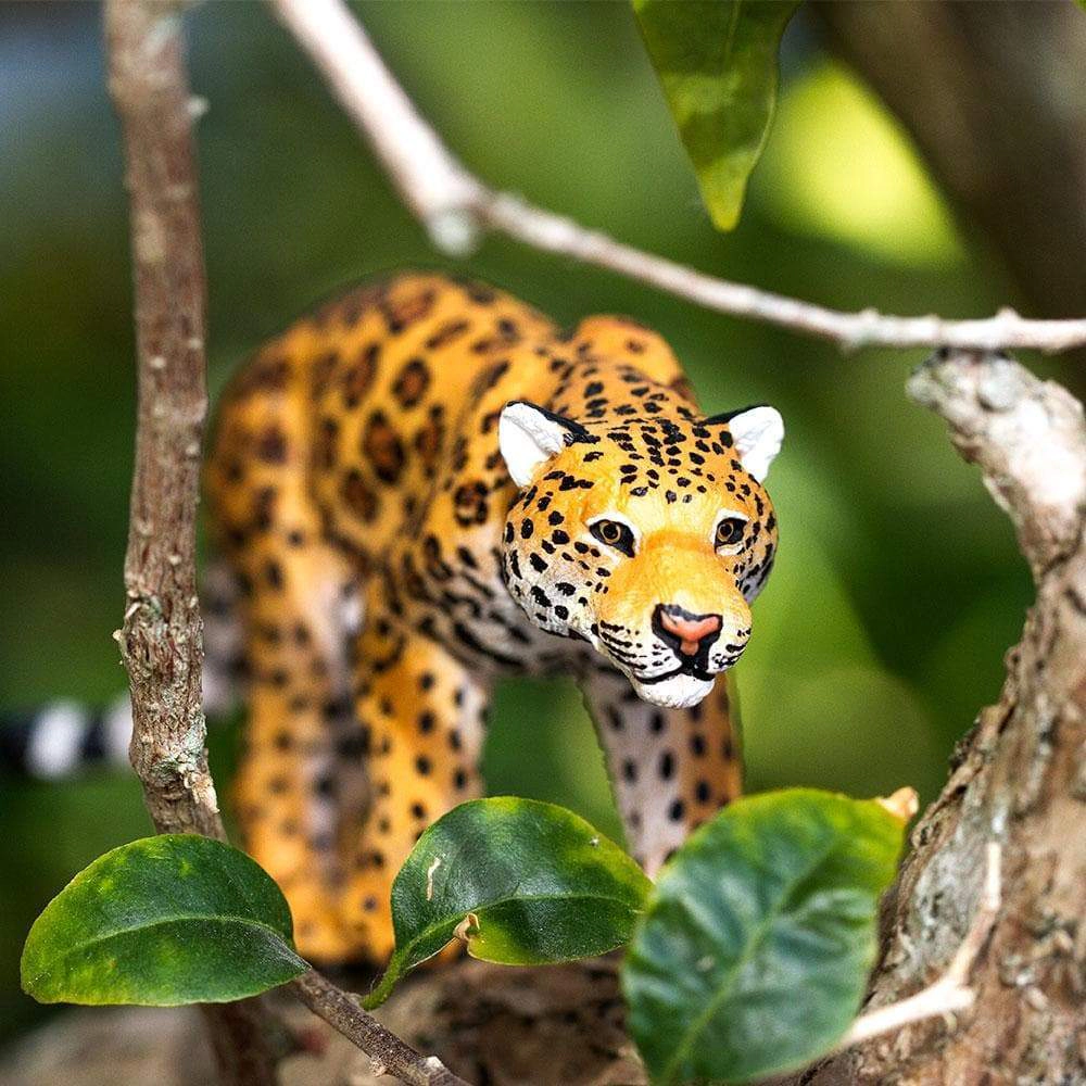 Safari Ltd. - Jaguar Kids Toy Figure