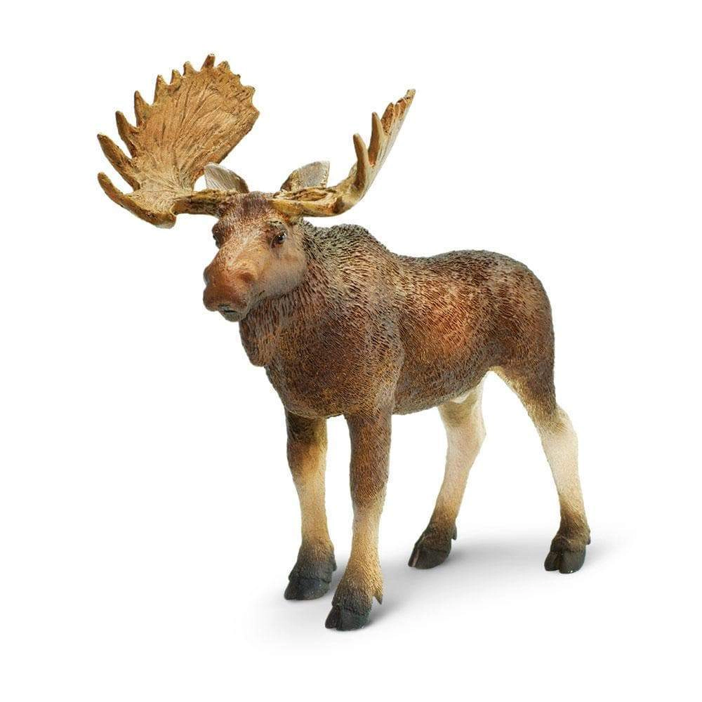 Safari Ltd. - Bull Moose Kids Toy Figure
