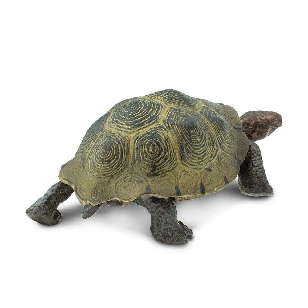 Safari Ltd. - Desert Tortoise Kids Toy Figure