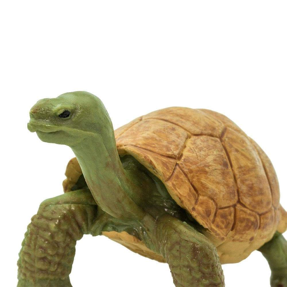 Safari Ltd. - Giant Tortoise Kids Toy Figure