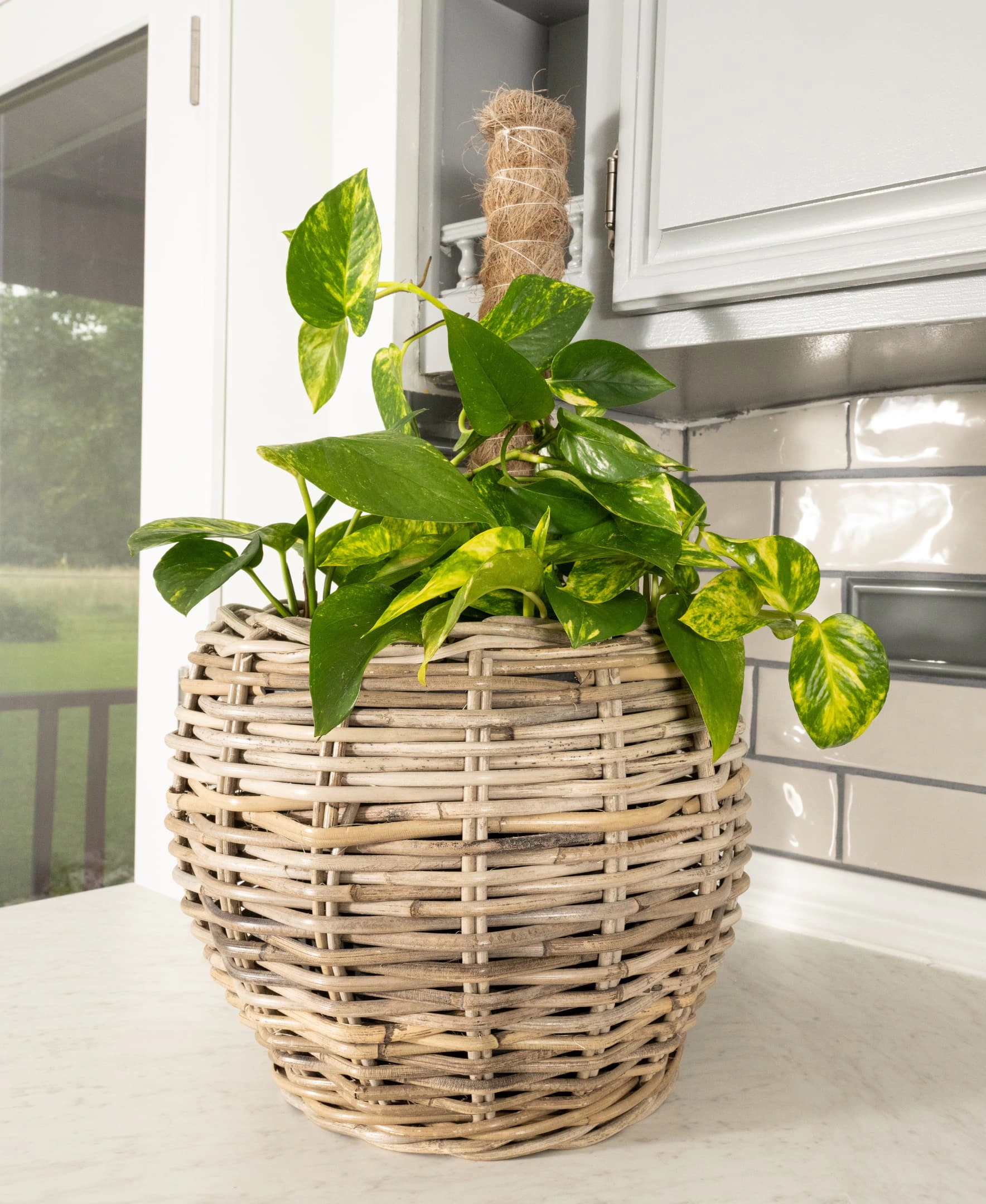 Saboga Home™ Round Belly Planter with Plastic Insert