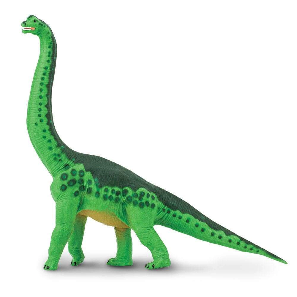 Safari Ltd. - Brachiosaurus Kids Prehistoric/Dinosaur Toy Figure