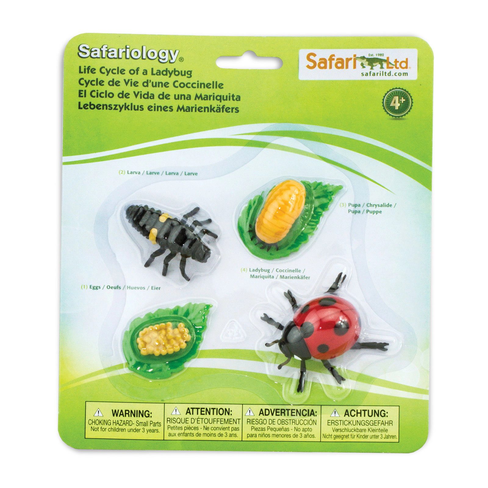 Safari Ltd. - Life Cycle of a Ladybug - Miniature Lifecycle Collection Toy
