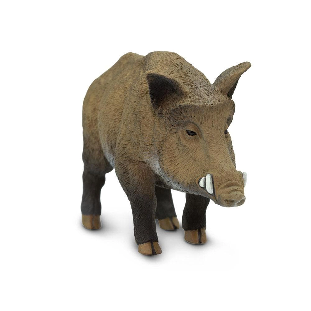 Safari Ltd. - Boar Kids Toy Figure