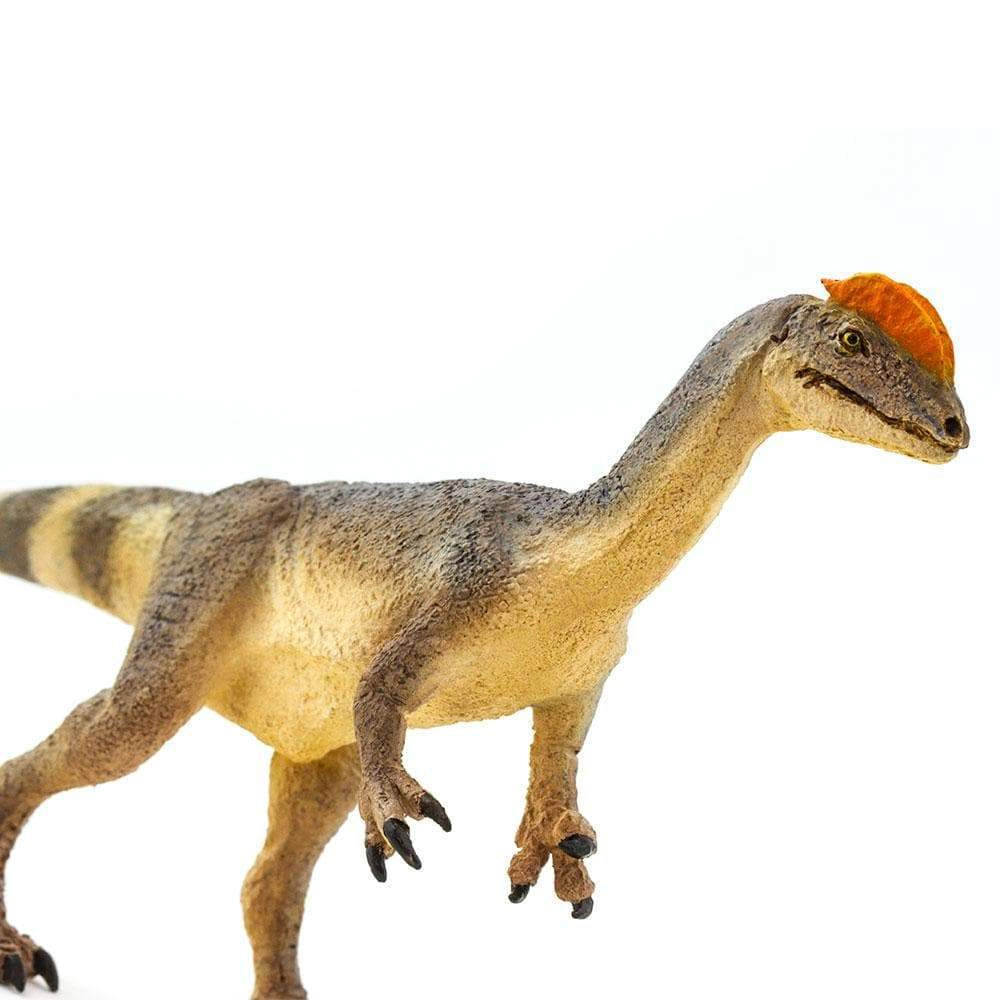 Safari Ltd. - Dilophosaurus Kids Prehistoric/Dinosaur Toy Figure