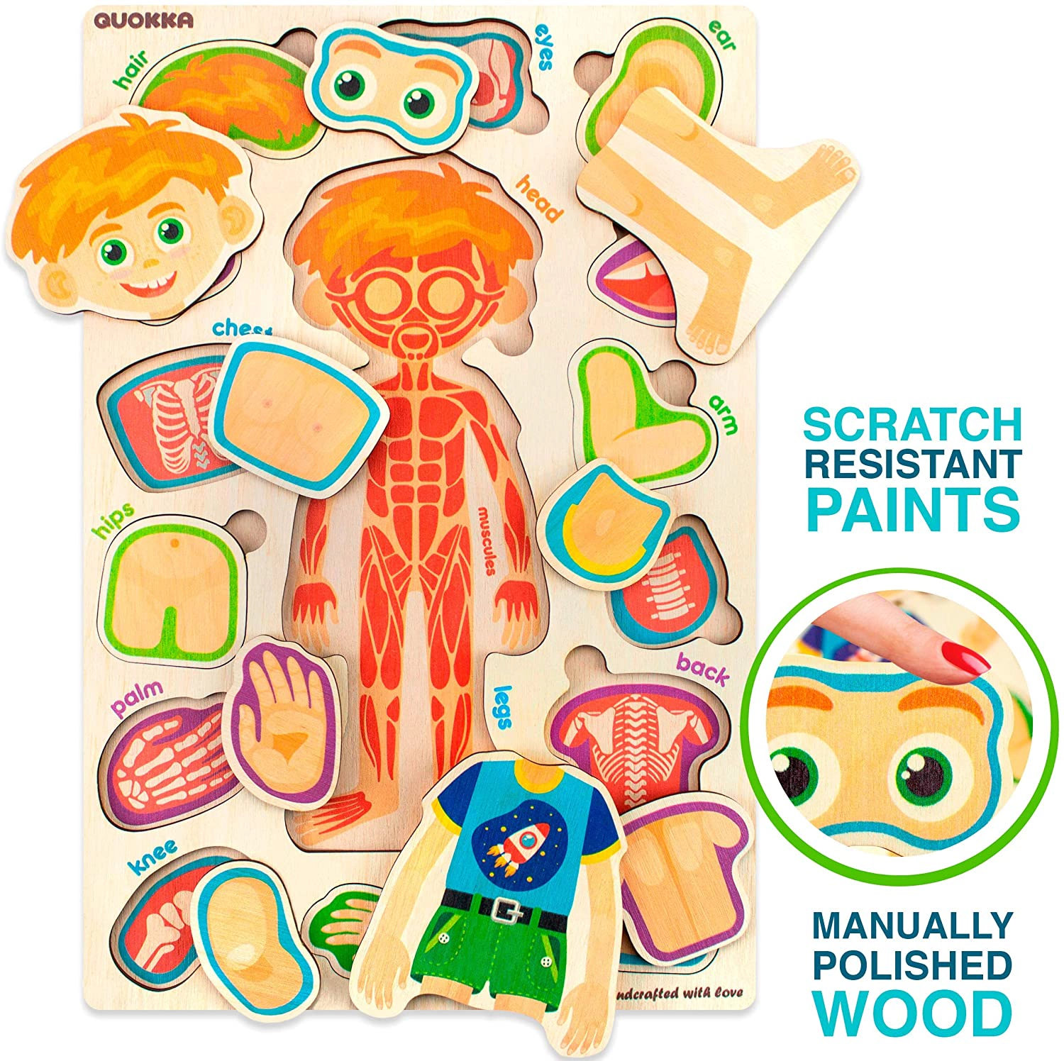 QUOKKA Human Anatomy Puzzle Set for Kids, Wooden & Magnetic Body Parts Learning Toy