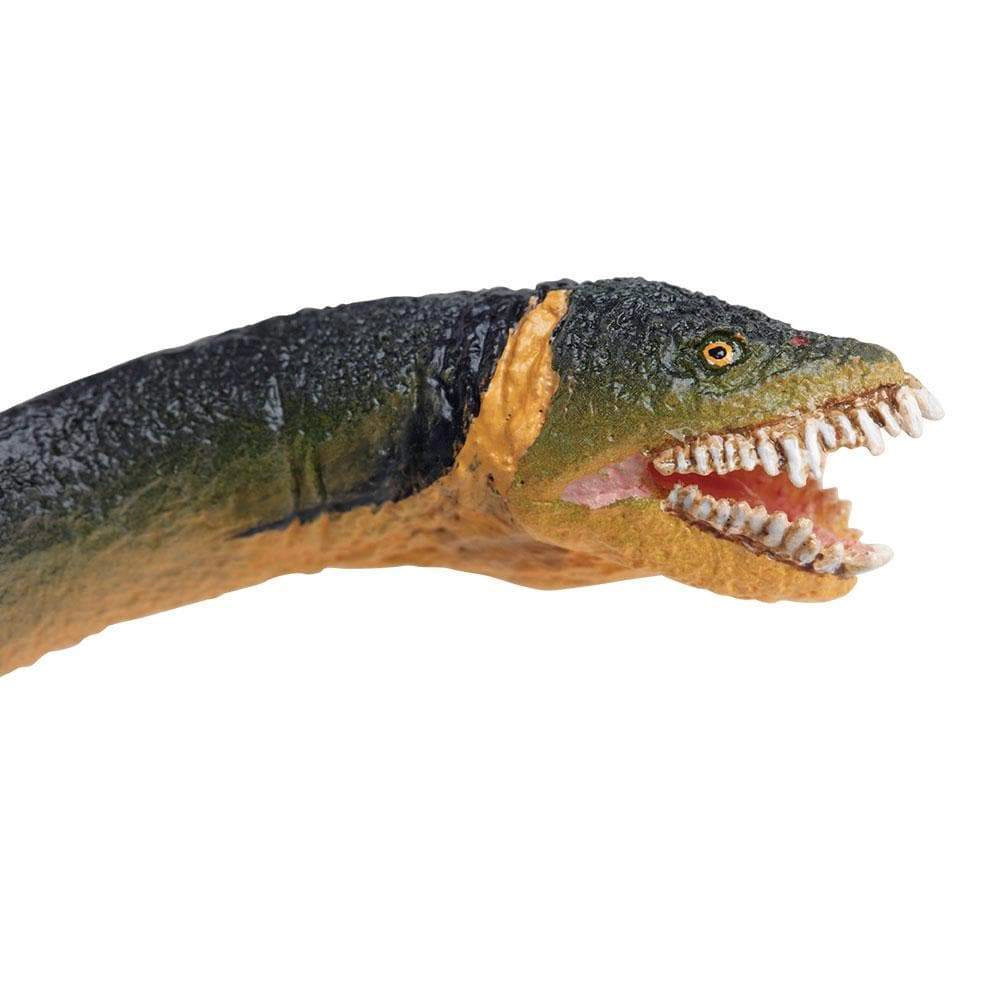 Safari Ltd. - Elasmosaurus Kids Prehistoric/Dinosaur Toy Figure