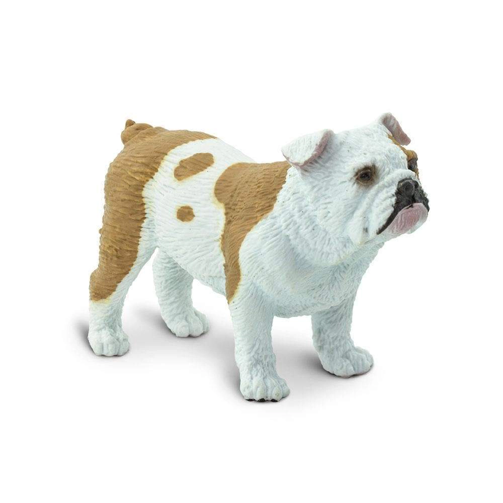 Safari Ltd. - Bulldog Kids Toy Figure