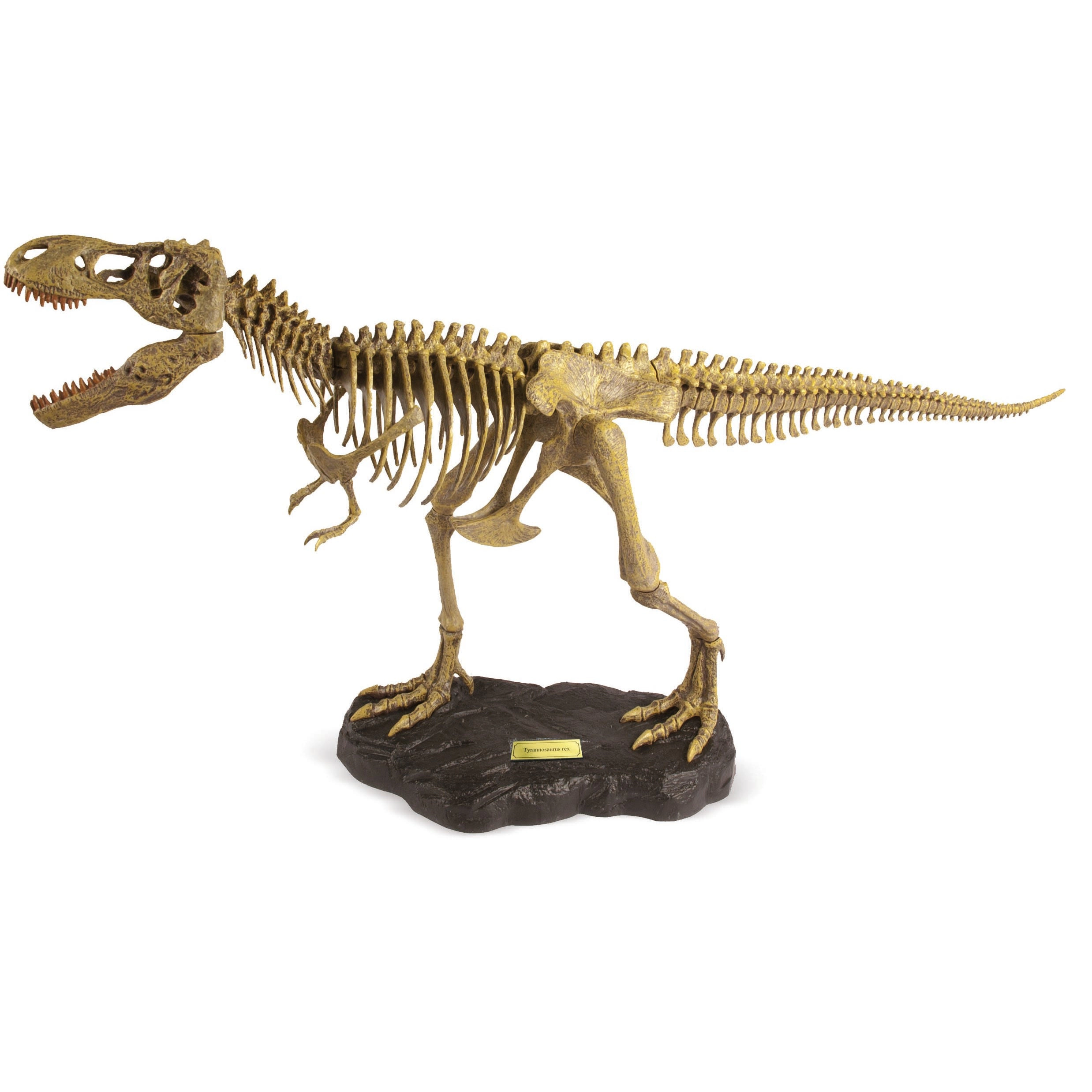 Geoworld - Paleo Expeditions - Tyrannosaurus Rex Kids Toy Set