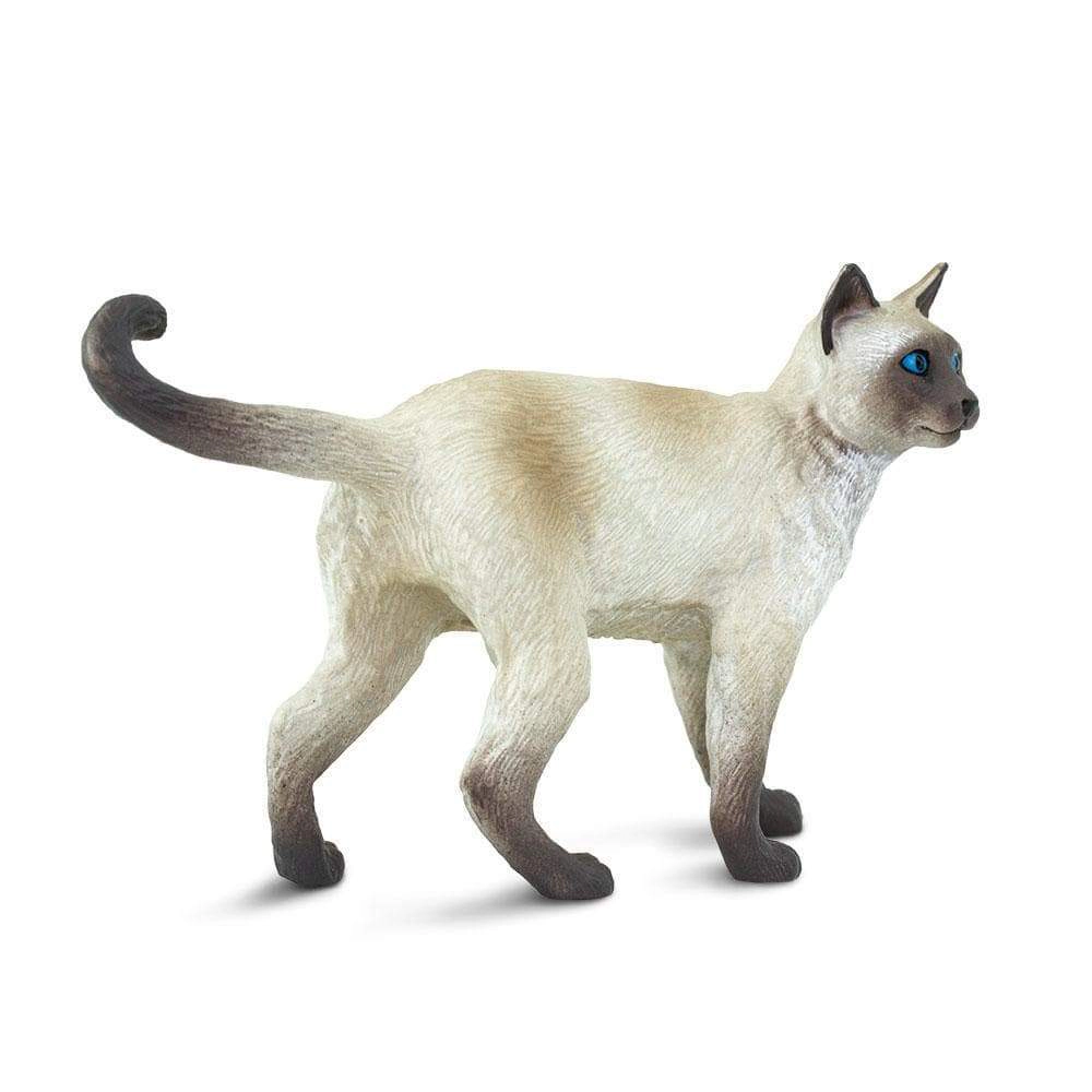 Safari Ltd. - Siamese Cat Kids Toy Figure