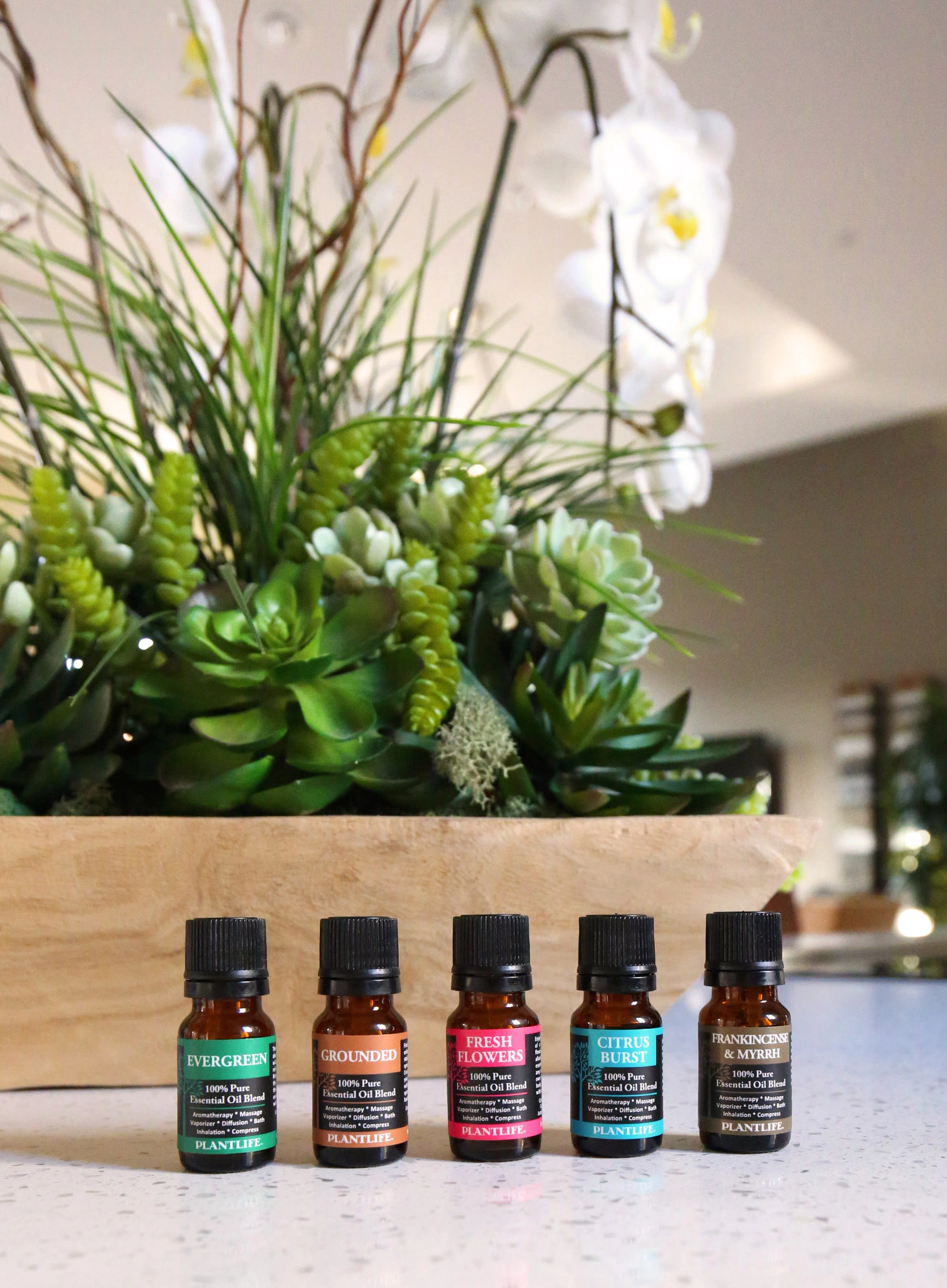 Plantlife Evergreen Essential Oil Blend
