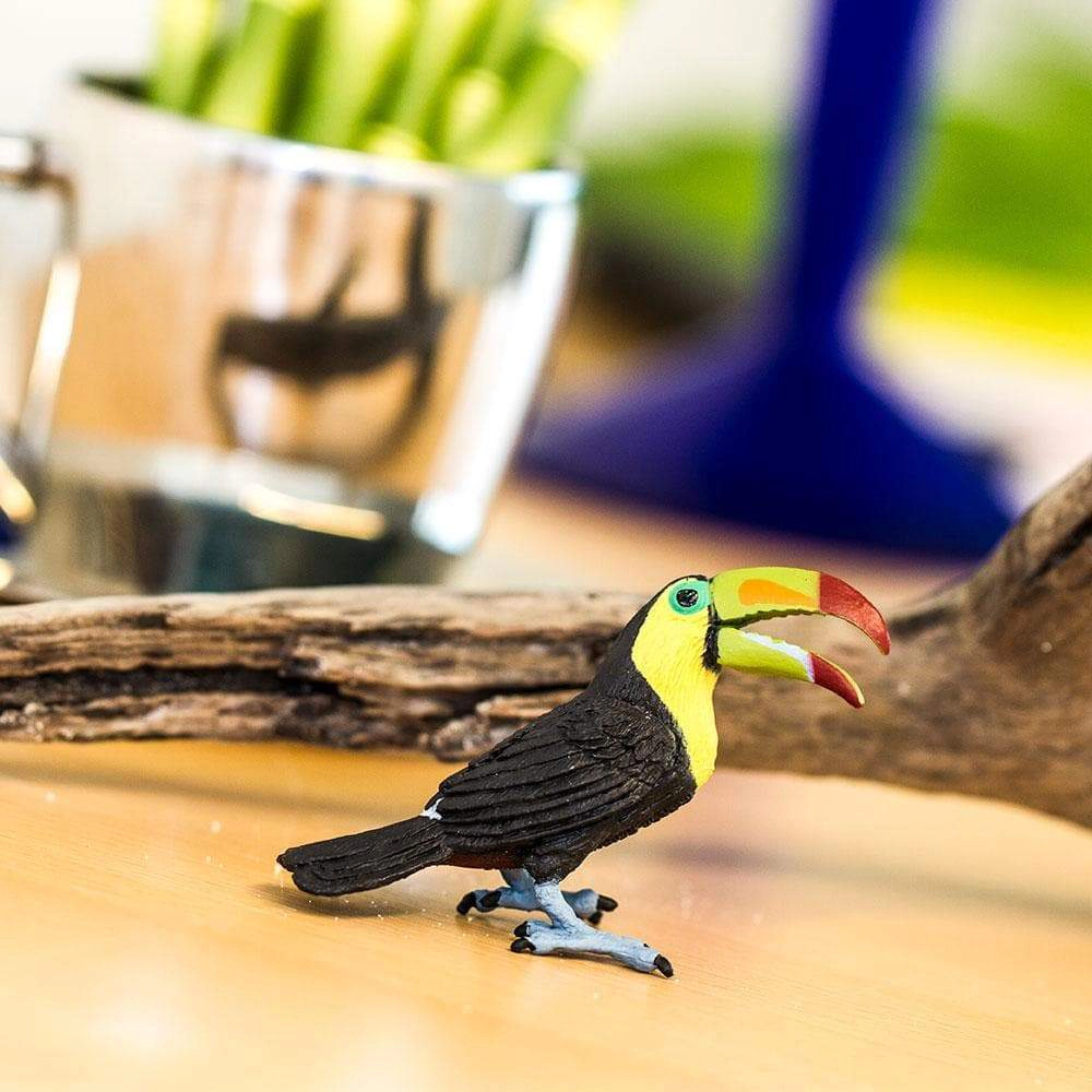 Safari Ltd. - Toucan Kids Toy Figure