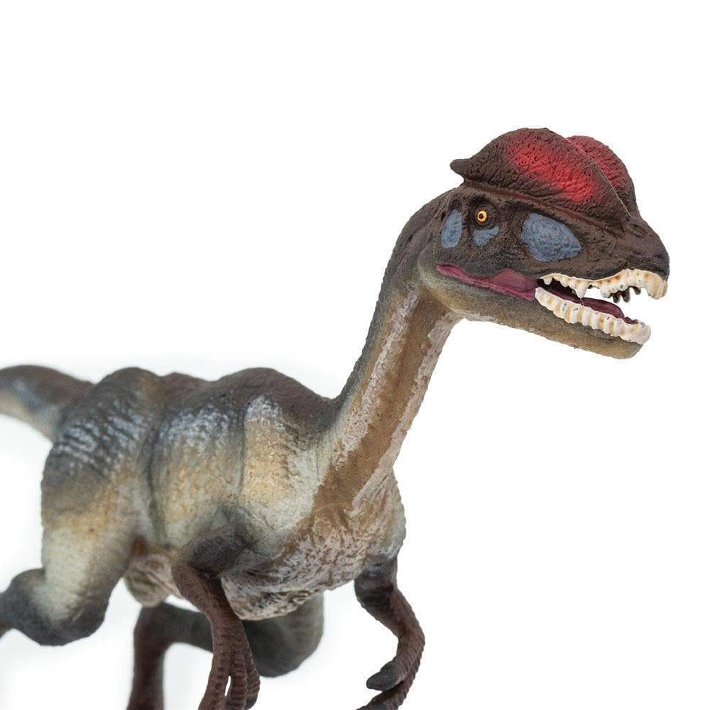 Safari Ltd. - Dilophosaurus Kids Prehistoric/Dinosaur Toy Figure