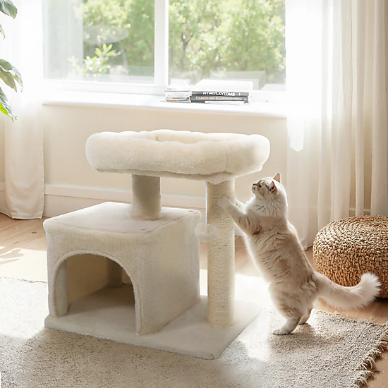 Glintex 19.5-Inch Small Cat Tree with Large Padded Plush Perch and Anti-Tipping Strap