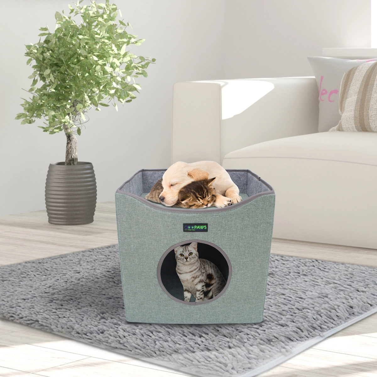 212 Main 15.5 in. Cat Condo, Sage Green
