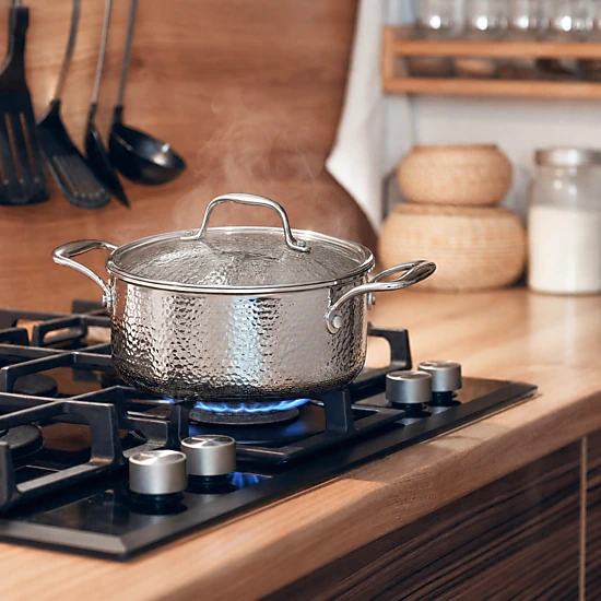 Mega Casa 3 Qt Stock Pot with Lid, 304 Stainless Steel Cooking Pot, Gas ...