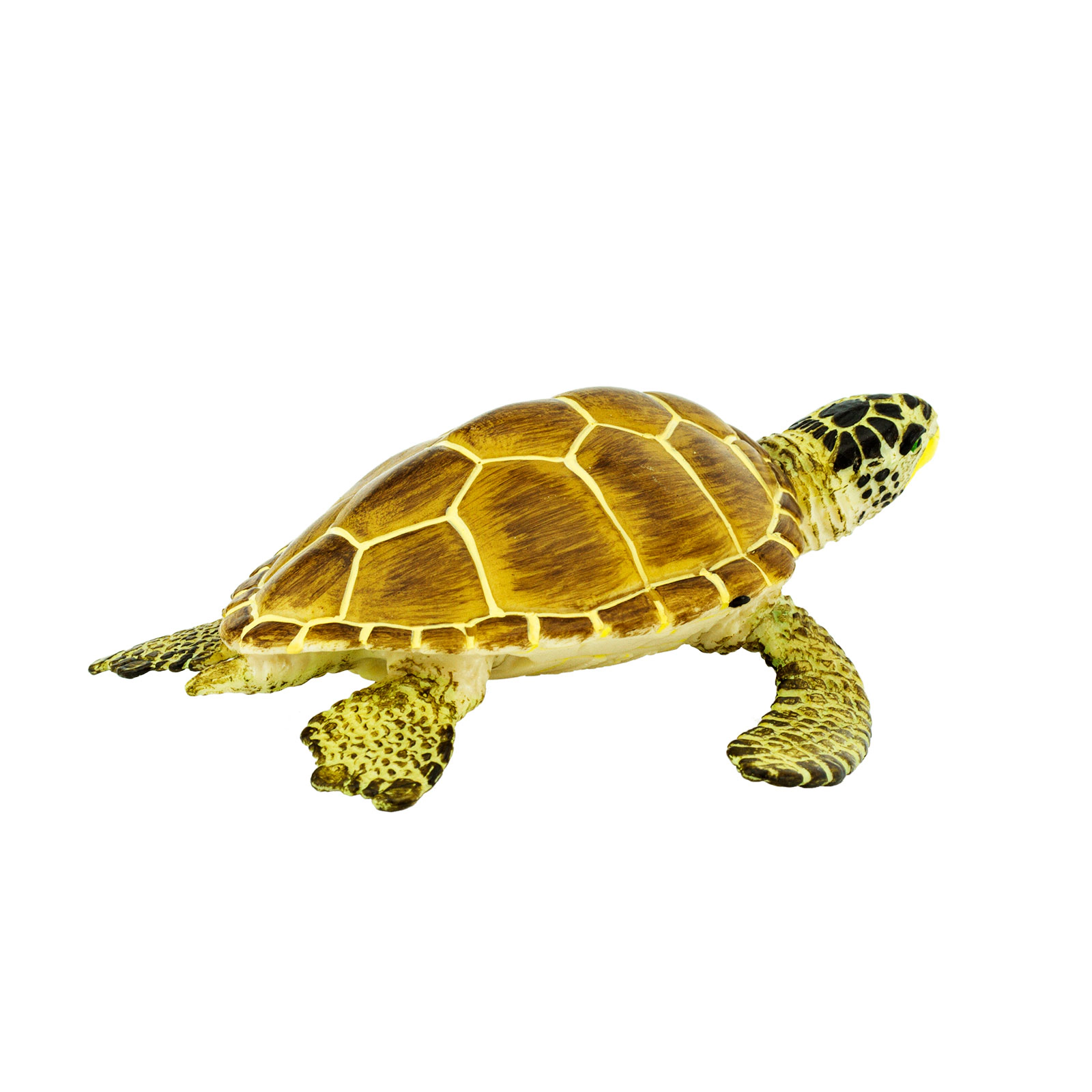 Safari Ltd. - Loggerhead Turtle Kids Toy Figure