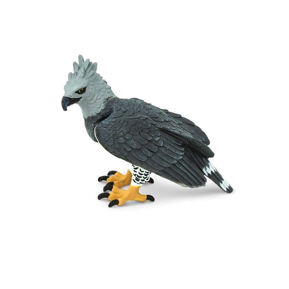 Safari Ltd. - Harpy Eagle Kids Toy Figure