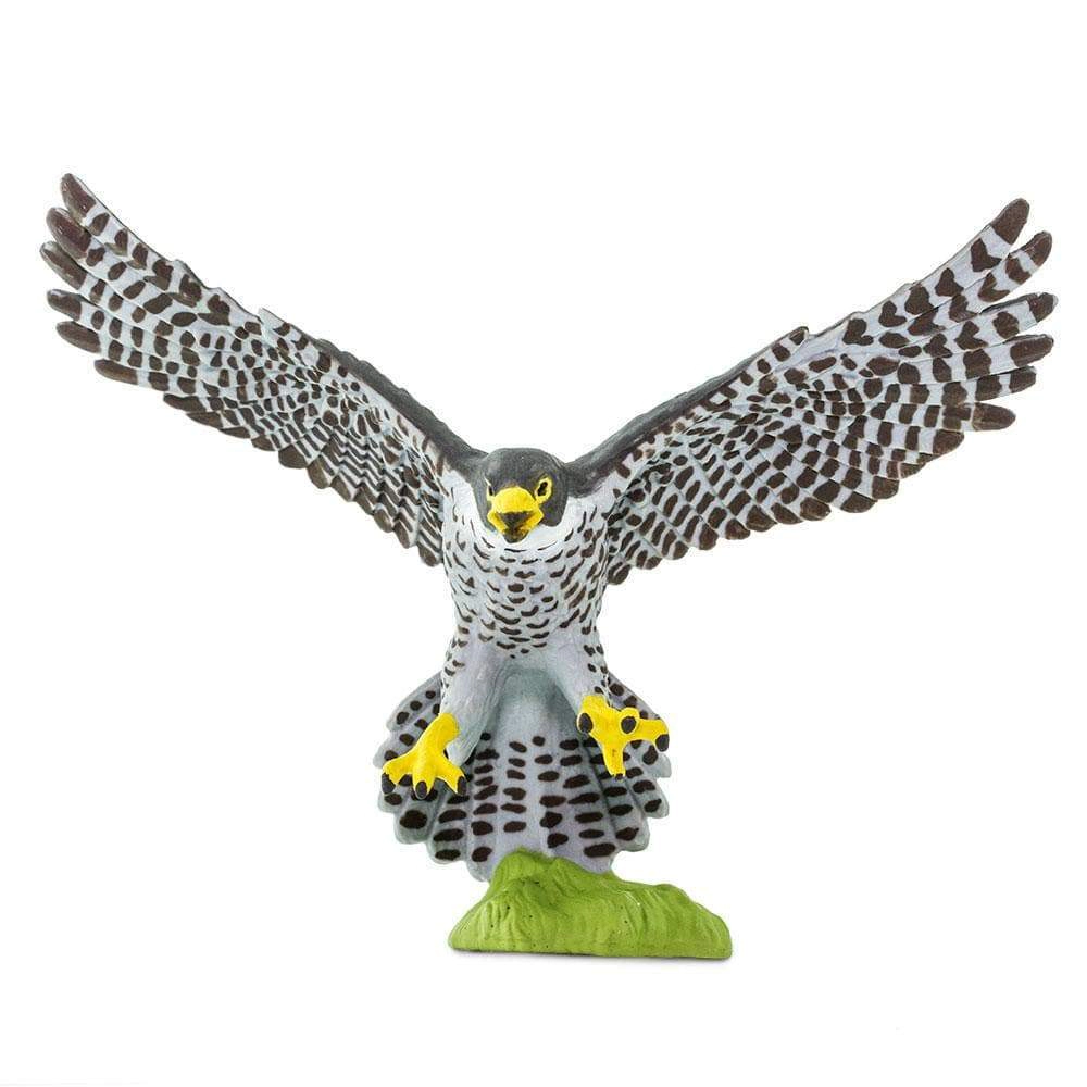 Safari Ltd. - Peregrine Falcon Kids Toy Figure