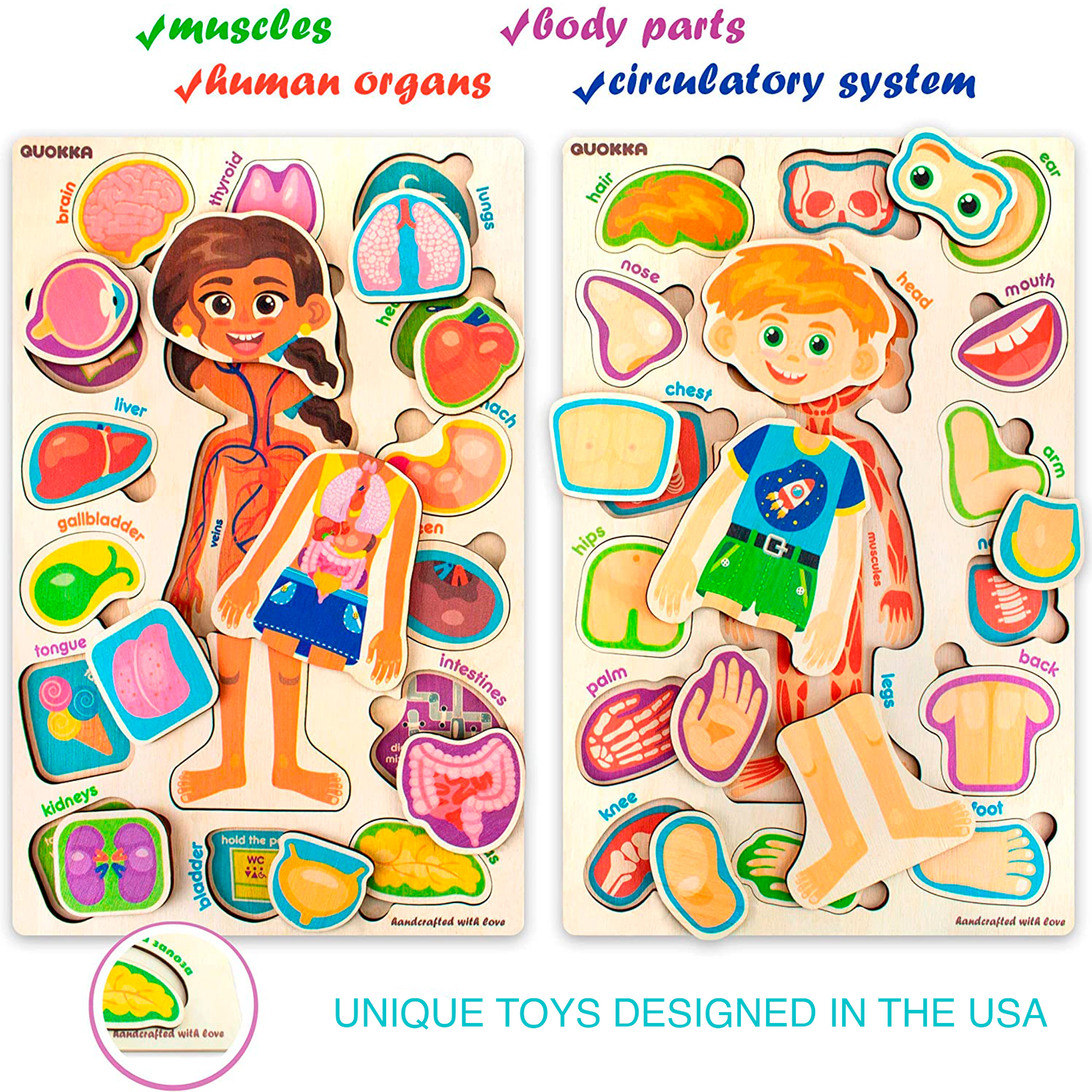 QUOKKA Human Anatomy Puzzle Set for Kids, Wooden & Magnetic Body Parts Learning Toy