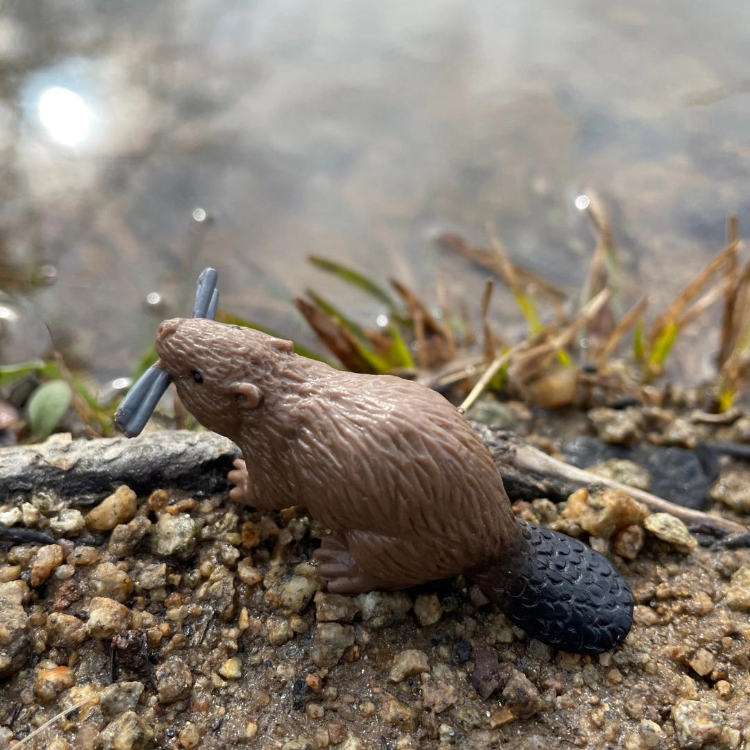 Safari Ltd. - River Animals TOOB - contains 10 Mini Figurines