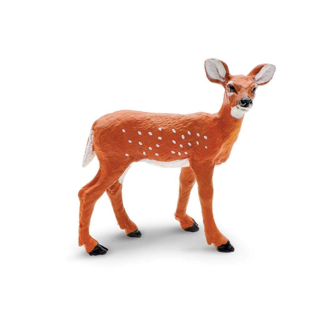 Safari Ltd. - Whitetail Fawn Kids Toy Figure