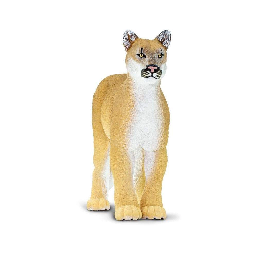 Safari Ltd. - Florida Panther Kids Toy Figure