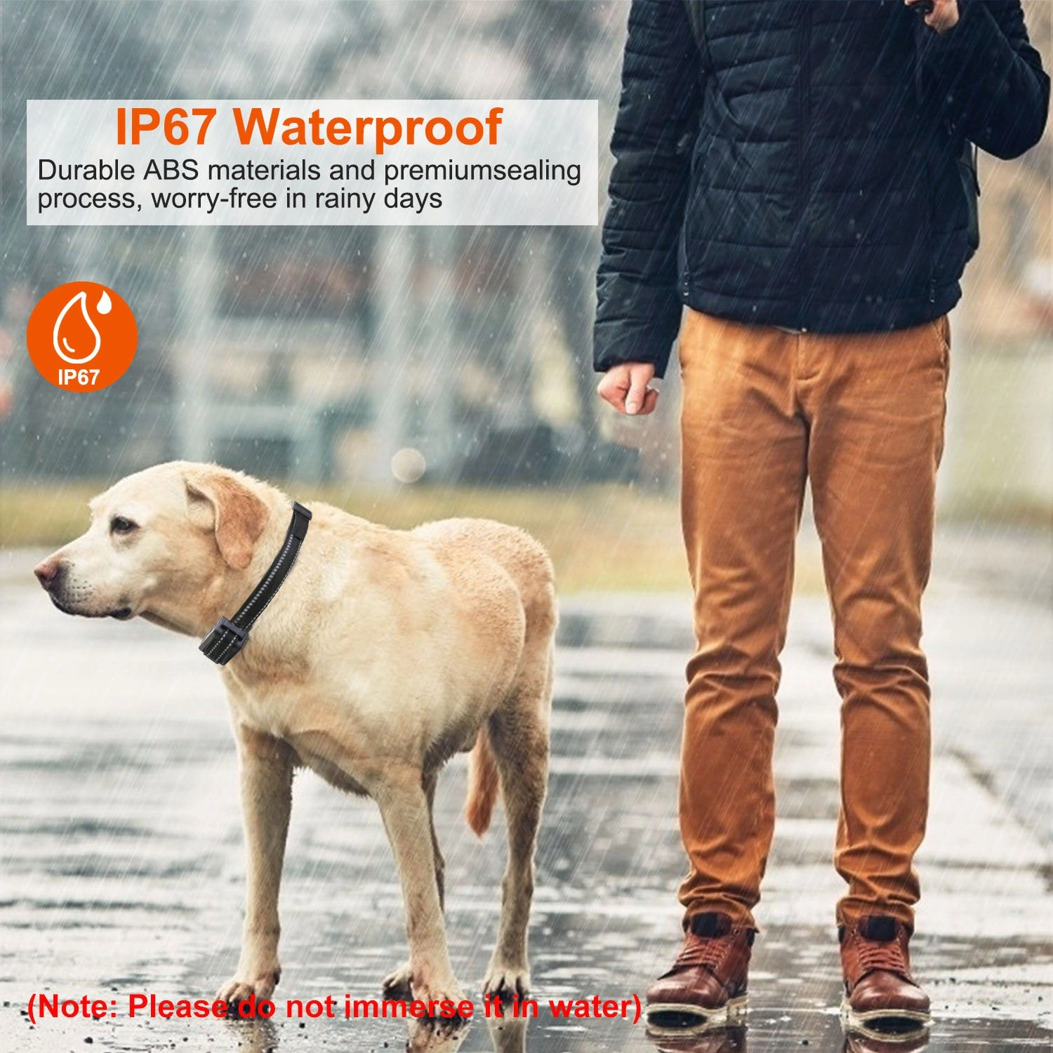 GBruno Waterproof Dog Training Collar Receiver