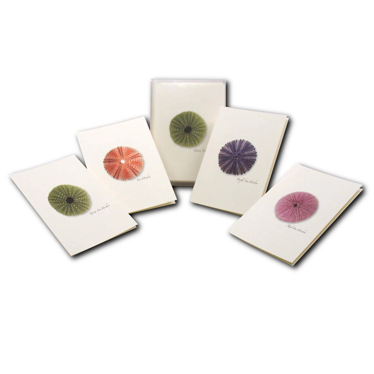 Earth Sky + Water Sea Urchin Notecard Set - 8 Blank Cards with Envelopes, 2 Each of 4 Designs