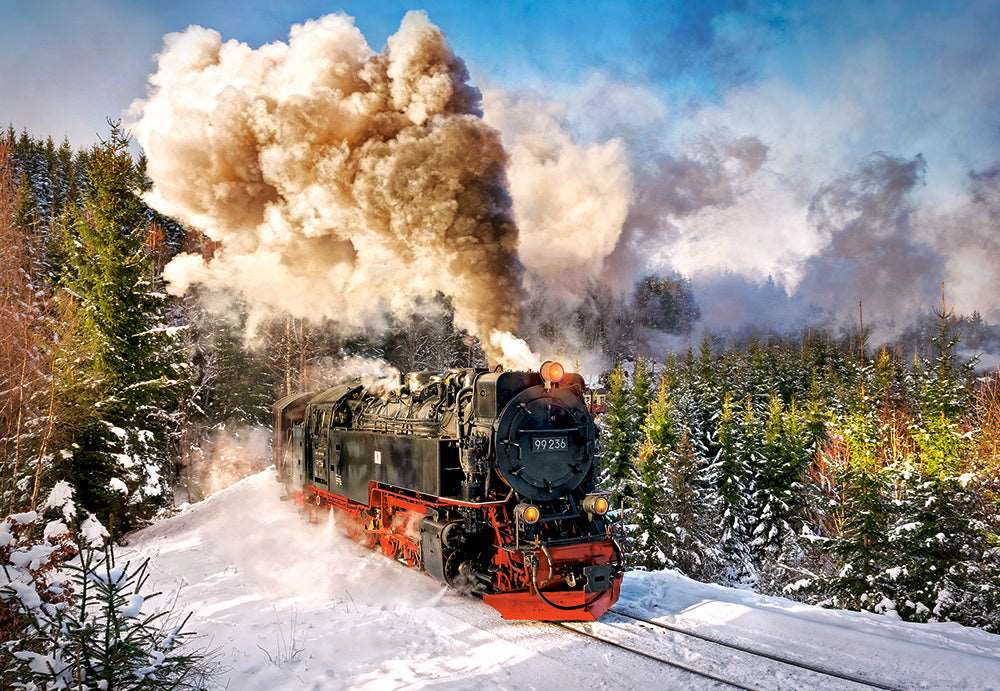 CASTORLAND 1000 Piece Jigsaw Puzzle, Steam Train, Mountain Train, Locomotive Puzzle, Adult Puzzle, Castorland C-103409-2