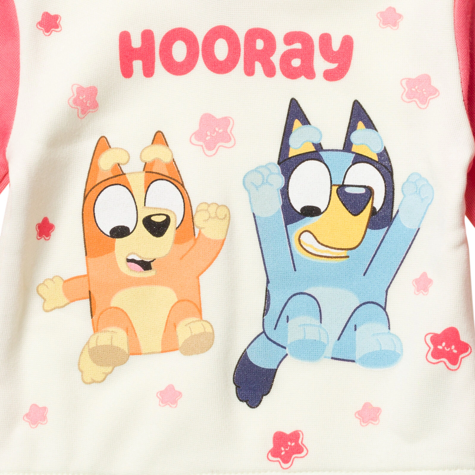 Bluey Little Girls' 2-Piece Fleece Hoodie and Pants Set