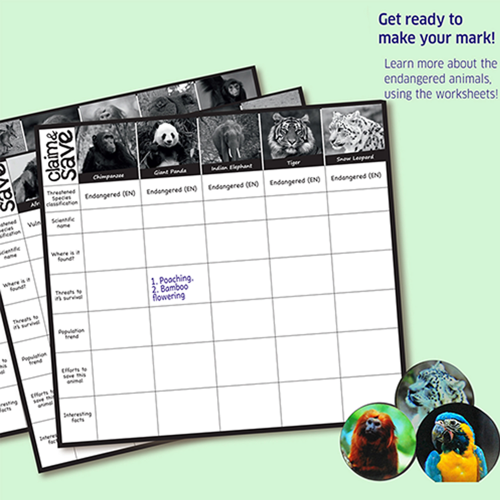 Chalk & Chuckles Claim and Save Game - 2-4 Players