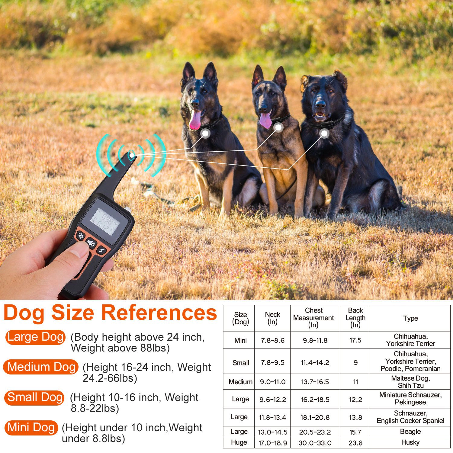 GBruno Waterproof Dog Training Collar Receiver