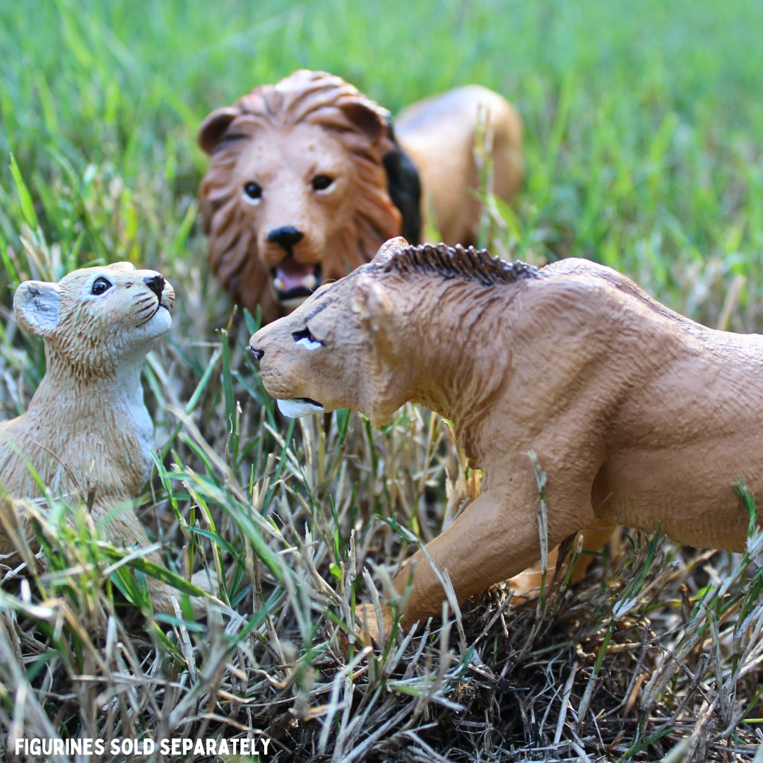Safari Ltd. - Adolescent Male Lion Kids Toy Figure