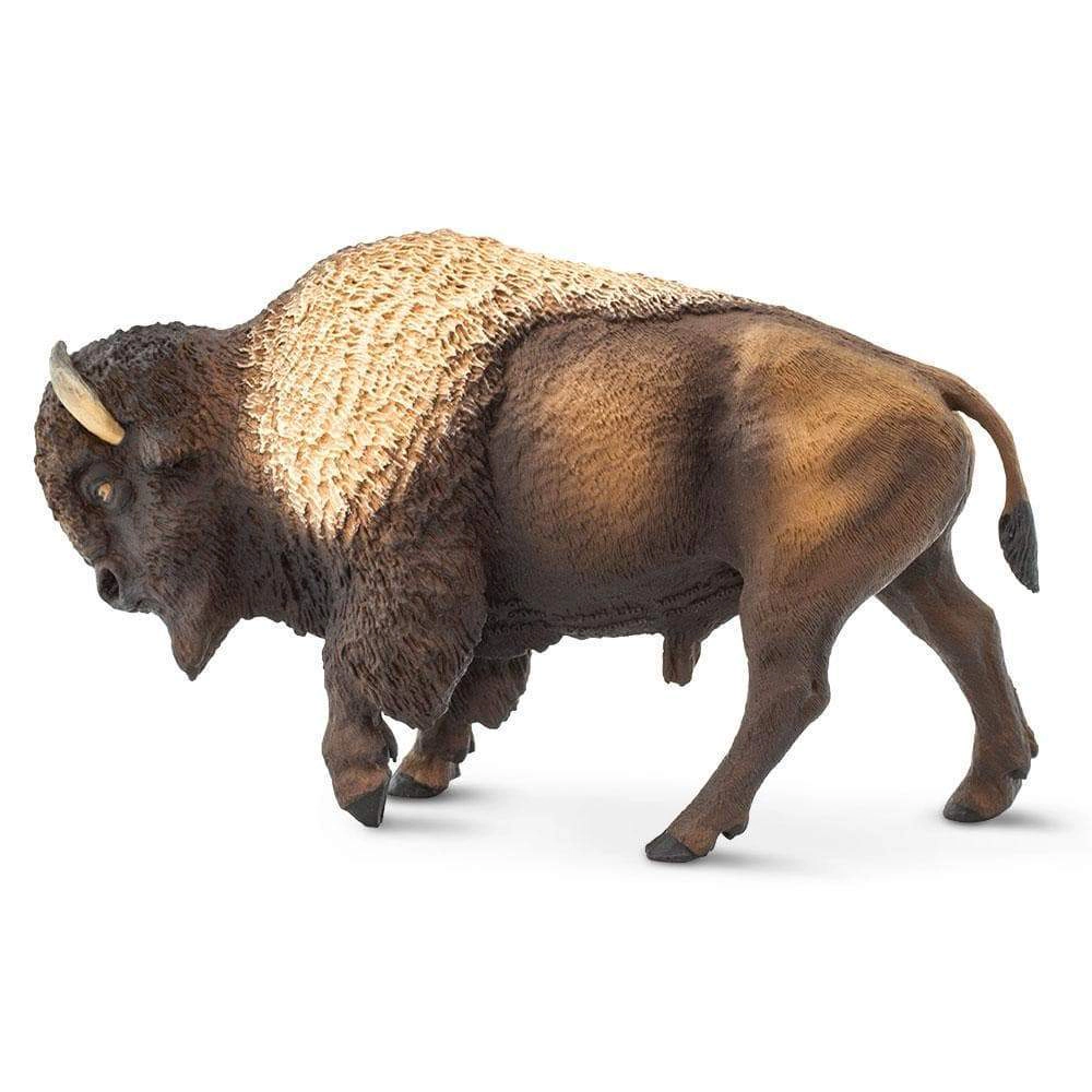 Safari Ltd. - Bison Kids Toy Figure