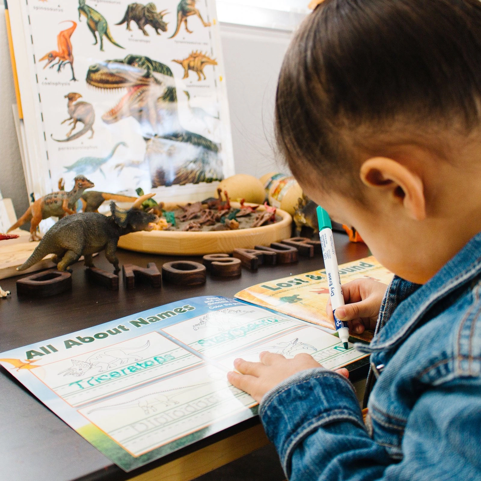 Safari Ltd. -  Dinosaur Activity Book For Kids