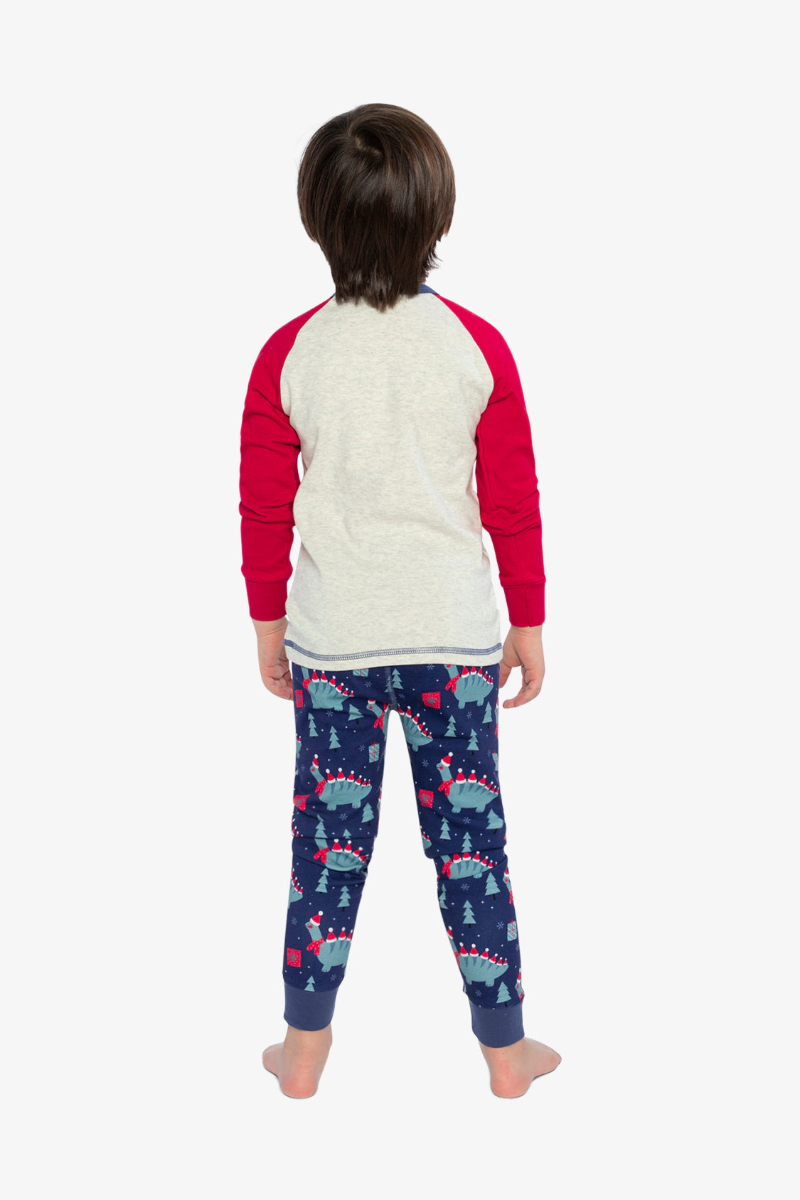 Deux par Boys Organic Cotton Dinosaur Print Two Piece Pajama Set with Raglan Sleeve Top and Pants
