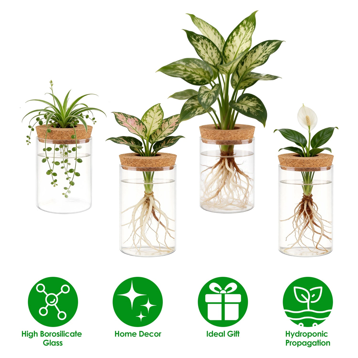 GBruno Glass Propagation Stations With Cork Lids