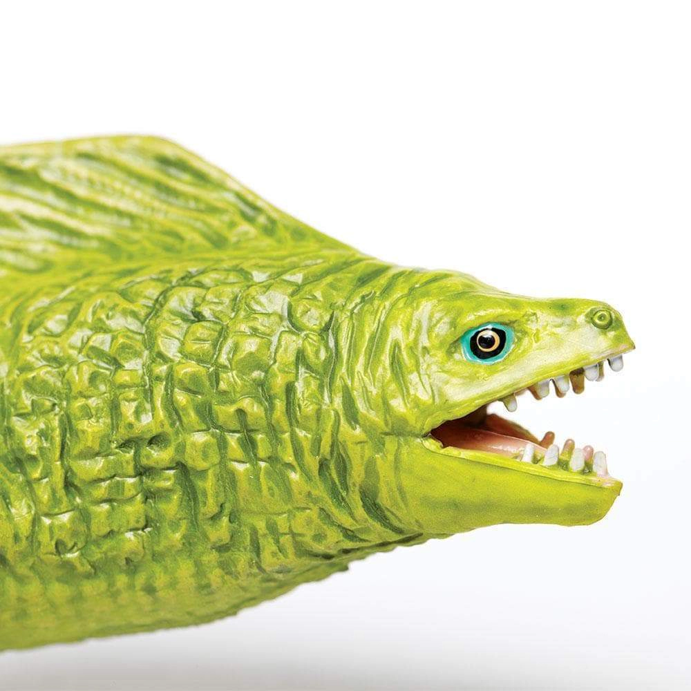 Safari Ltd. - Moray Eel Kids Toy Figure