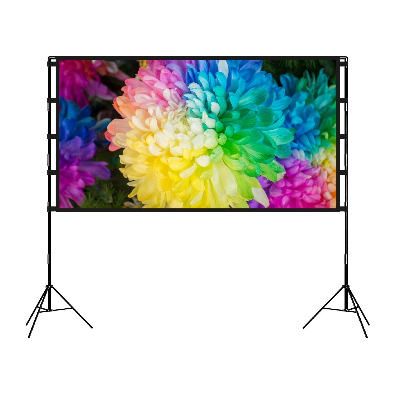 GBruno 120 In 4K HD Projector Screen With Stand