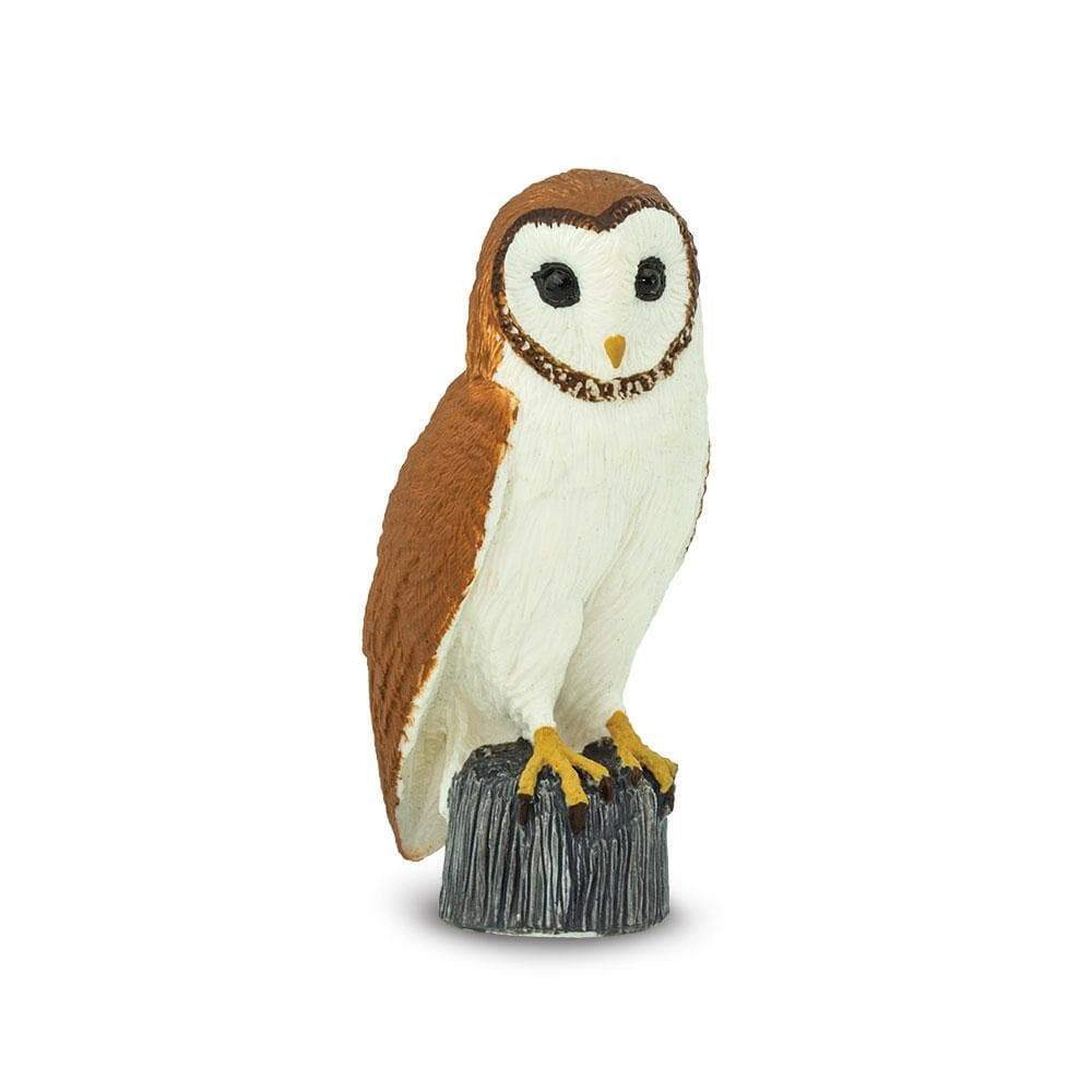 Safari Ltd. - Barn Owl Kids Toy Figure