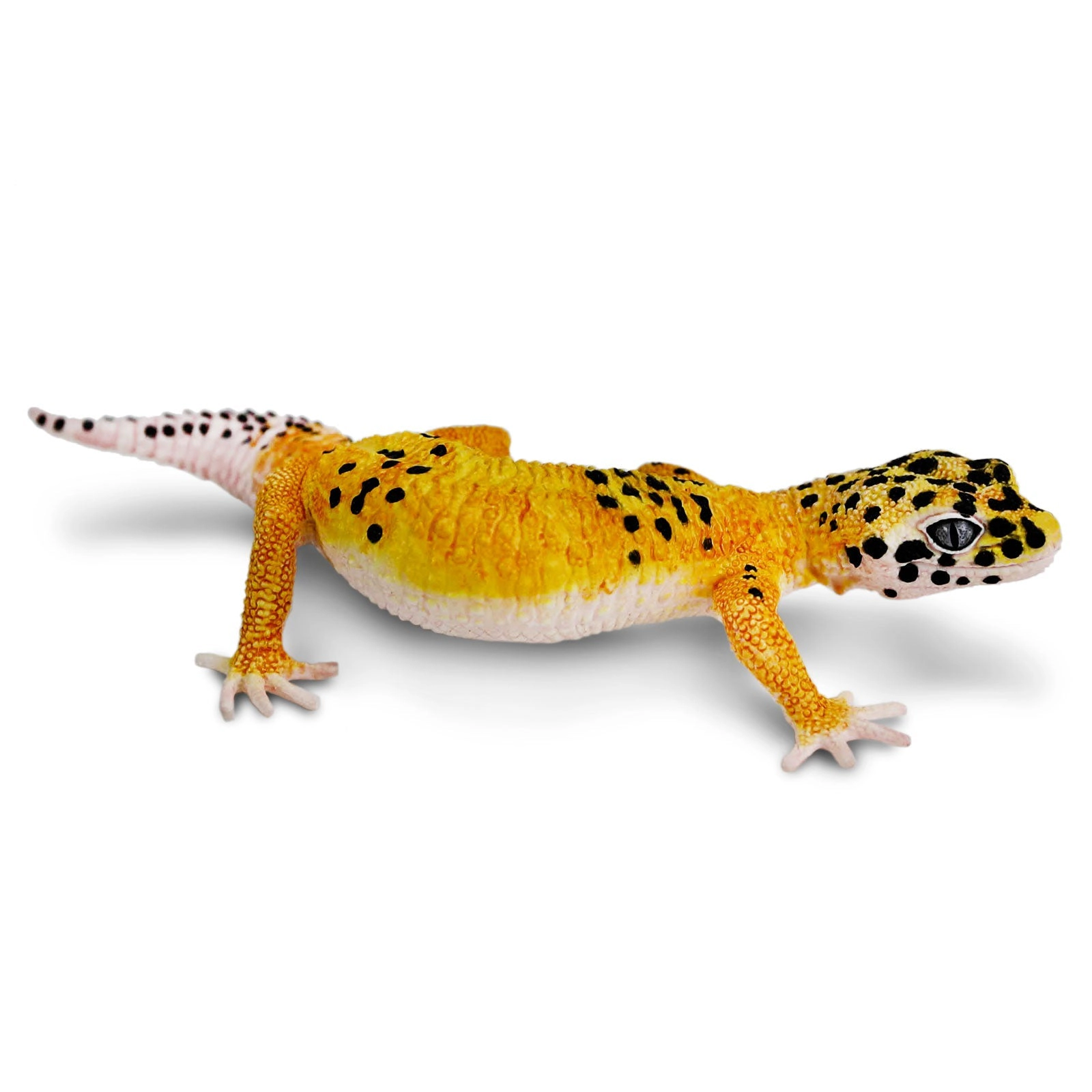 Safari Ltd. - Leopard Gecko Kids Toy Figure