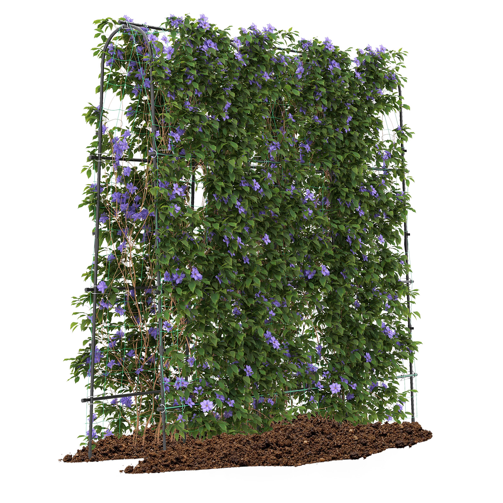 LJG 71 x 71 Inch U-Shaped Tall Garden Arched Trellis for Climbing Plants